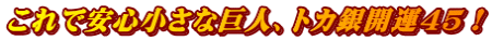 ����ň��S�����ȋ��l�A�g�J��J�^45�I